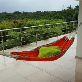 Traditional Hammock
